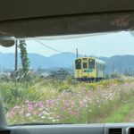 Title: 園外保育(竹とんぼ組) | Press-585 | Image No.11 | 社会福祉法人ひだまり会 かざぐるま保育園 | 福岡県行橋市