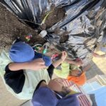 Title: 菜園活動（竹とんぼ組） | Press-598 | Image No.9 | 社会福祉法人ひだまり会  かざぐるま保育園 | 福岡県行橋市