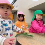 Title: 2026年の紙風船組 | Press-603 | Image No.37 | 社会福祉法人ひだまり会  かざぐるま保育園 | 福岡県行橋市