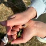 Title: もうすぐ進級（けん玉組） | Press-614 | Image No.8 | 社会福祉法人ひだまり会  かざぐるま保育園 | 福岡県行橋市